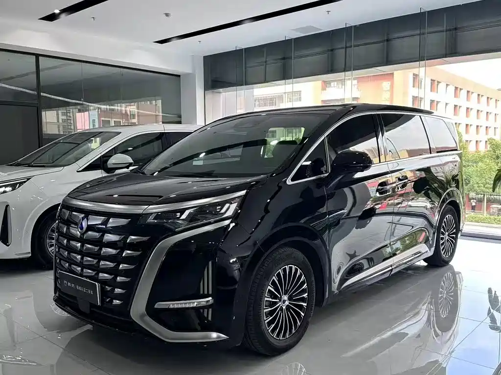 Denza D9 2024 DM-i 1050 Exclusive Type купить на сайте DeffCars