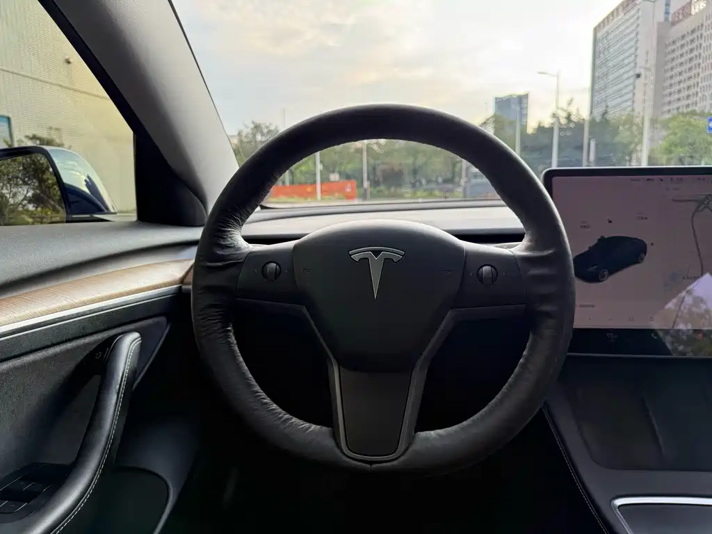 Model 3 2021 Standard Range Rear Drive Upgraded Version купить на сайте DeffCars