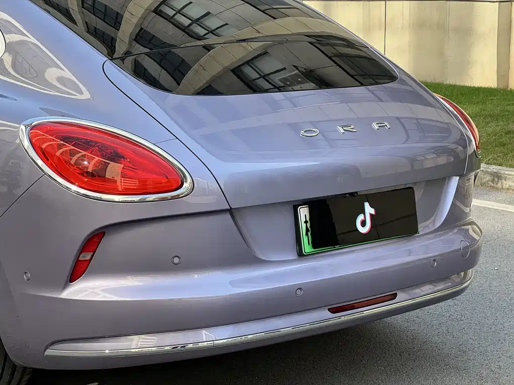 Euler Lightning Cat 2022 555km Premium Edition купить на сайте DeffCars