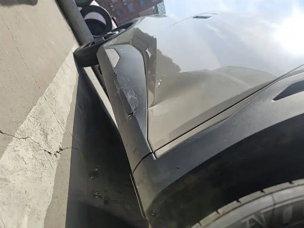 Seagull 2025 305km active version купить на сайте DeffCars