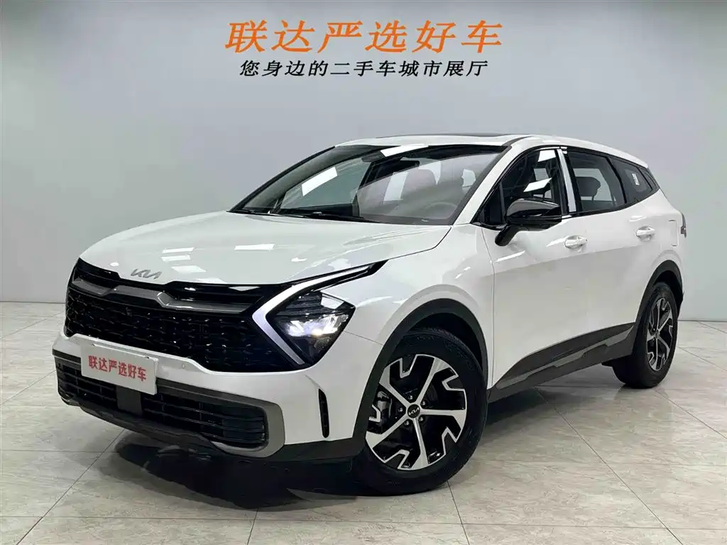Lion Expands the World 2025 1.5T Two-wheel Drive Premium Intelligent Edition купить на сайте DeffCars