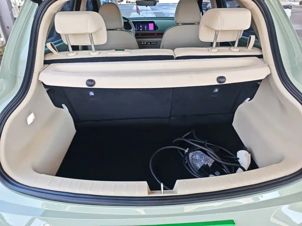 ORA Good Cat 2023 model 401km standard battery life premium type lithium iron phosphate купить на сайте DeffCars