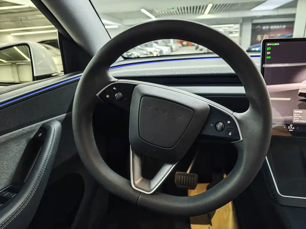 Model Y 2025 rear-wheel drive version купить на сайте DeffCars
