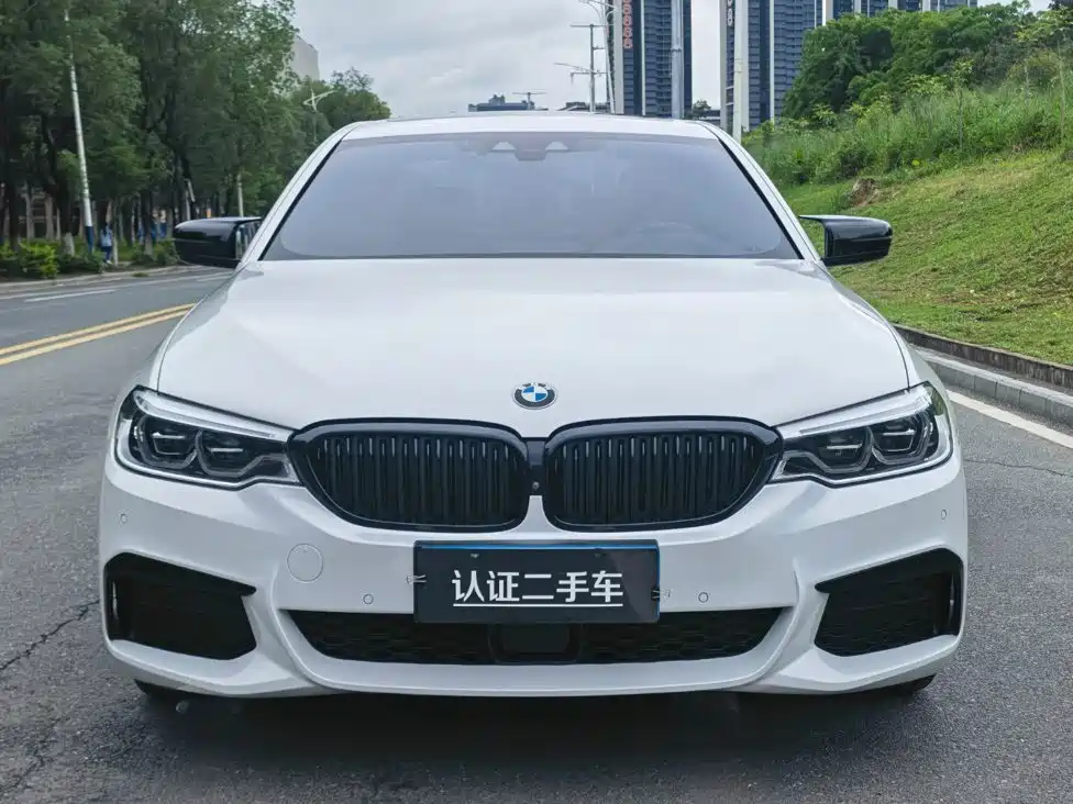 BMW 5 Series 2019 facelift 530Li Exclusive M Sports Package купить на сайте DeffCars