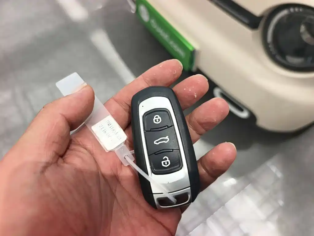 Panda 2025 Panda mini 210km Yuanqi Bear купить на сайте DeffCars