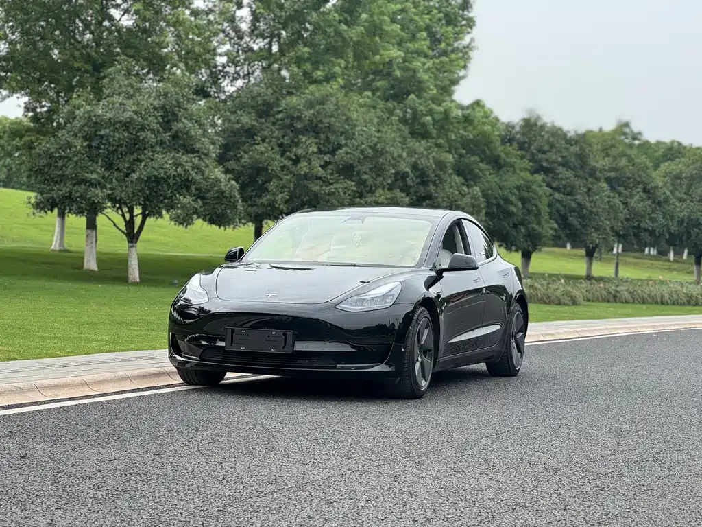 Model 3 2021 facelift standard range rear drive upgraded version 3D1 купить на сайте DeffCars