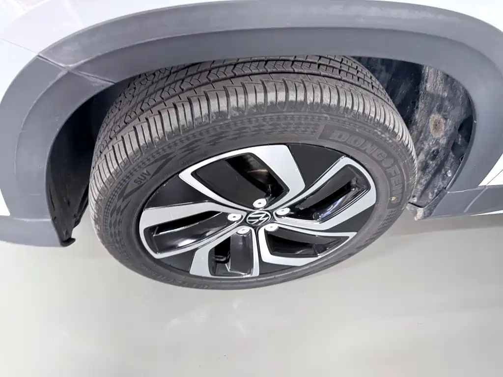 Tuyue 2023 300TSI two-wheel drive full moon version купить на сайте DeffCars