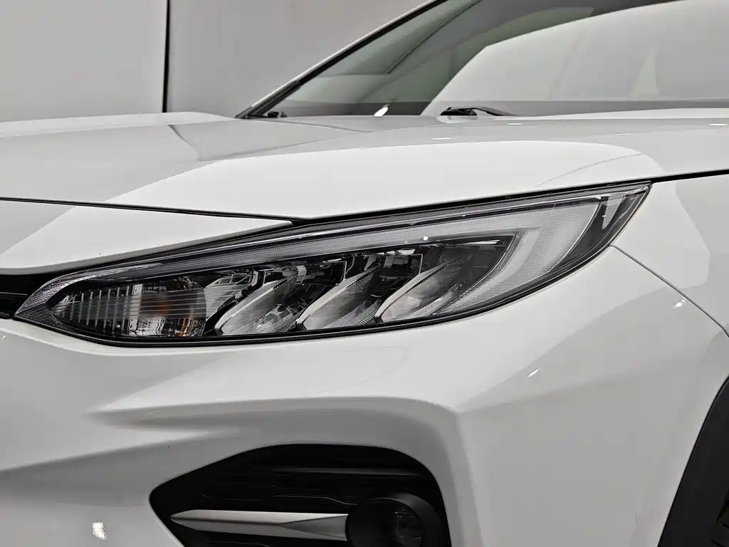 Wilanda 2024 2.0L CVT two-wheel drive leading version купить на сайте DeffCars