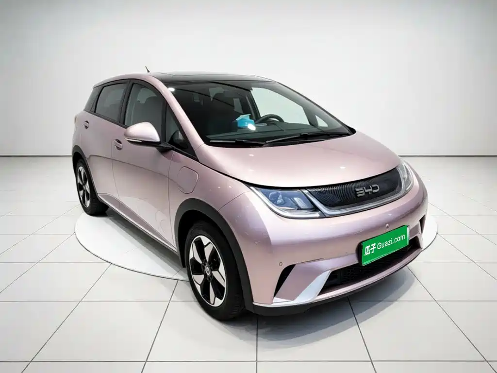 Dolphin 2025 420km fashion version купить на сайте DeffCars