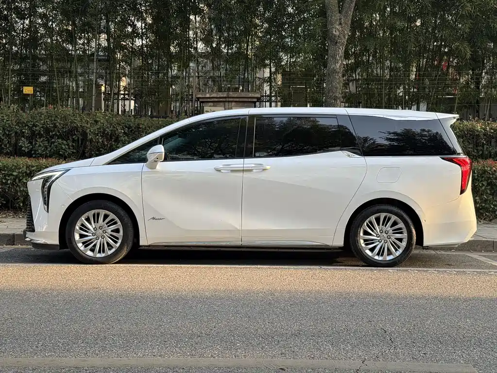 Century 2023 2.0T Six-seater Yuanshi Edition купить на сайте DeffCars