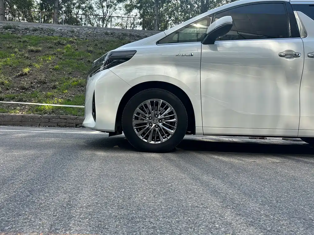 Alfa 2021 Dual Engine 2.5L Deluxe Edition купить на сайте DeffCars