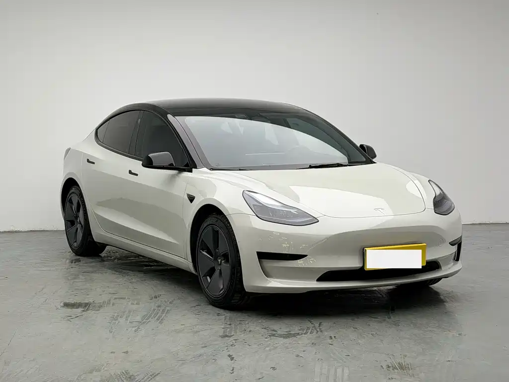 Model 3 2022 rear-wheel drive version купить на сайте DeffCars