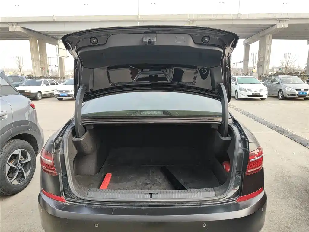 Passat 2022 330TSI Starry Sky Deluxe Edition купить на сайте DeffCars