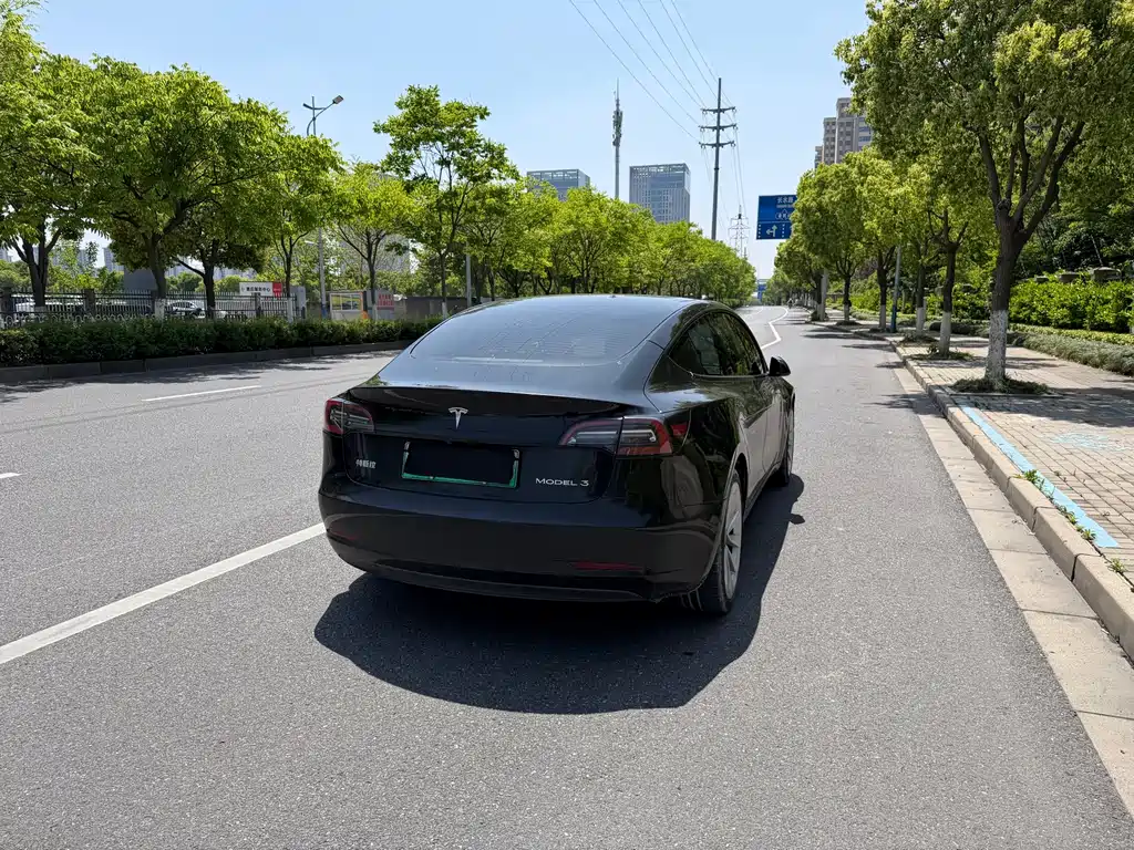Model 3 2022 rear-wheel drive version купить на сайте DeffCars