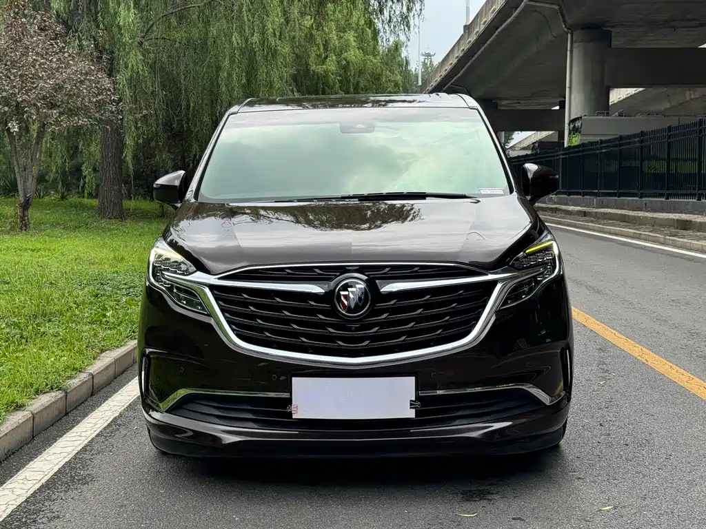Buick GL8 2020 ES Luzun 653T Luxury Edition купить на сайте DeffCars