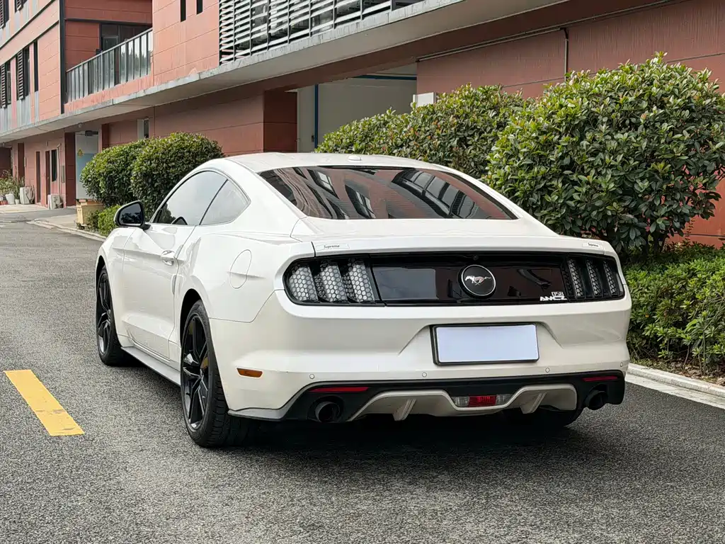 Mustang 2017 2.3T Performance Edition купить на сайте DeffCars
