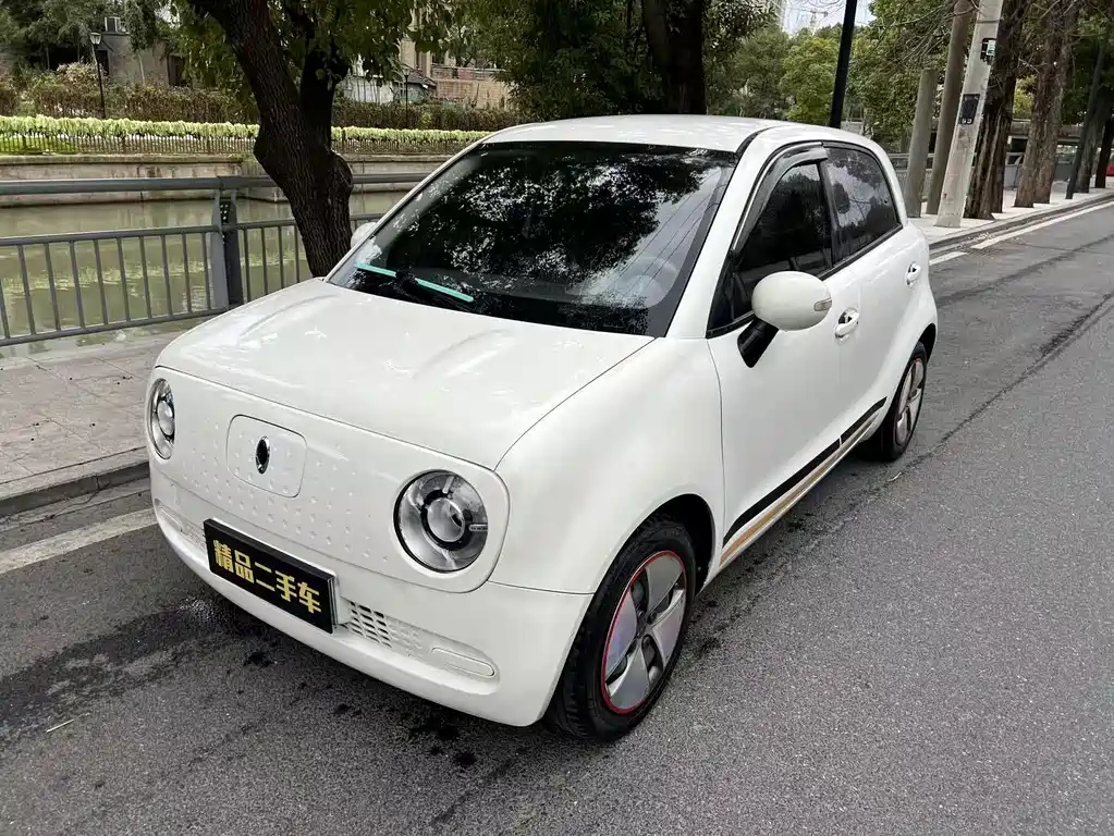 Euler Black Cat 2021 301km basic model купить на сайте DeffCars