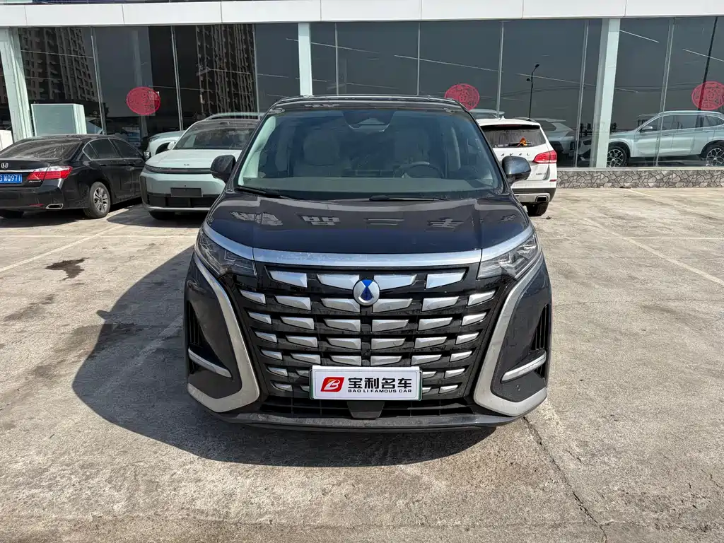 Denza D9 2022 DM-i 1040 Premium Type купить на сайте DeffCars