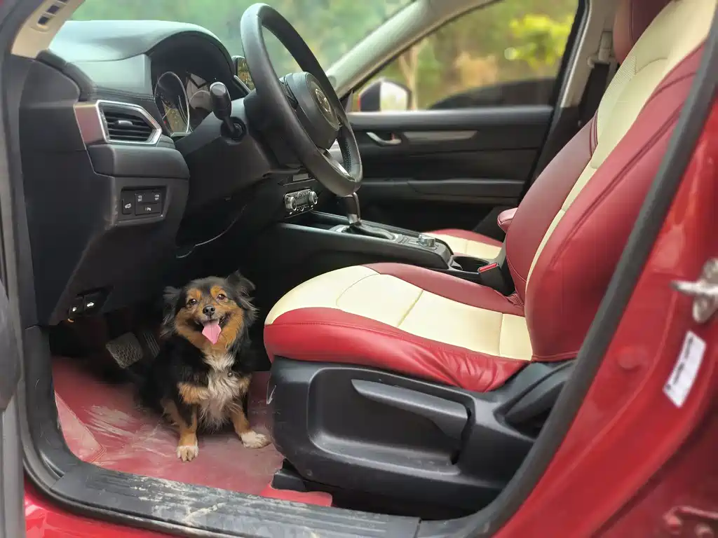 Mazda CX-5 2017 2.0L automatic two-wheel drive smart model, National V купить на сайте DeffCars