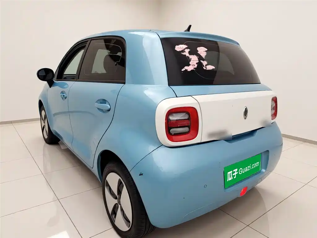 Euler Black Cat 2019 301km Standard Edition купить на сайте DeffCars