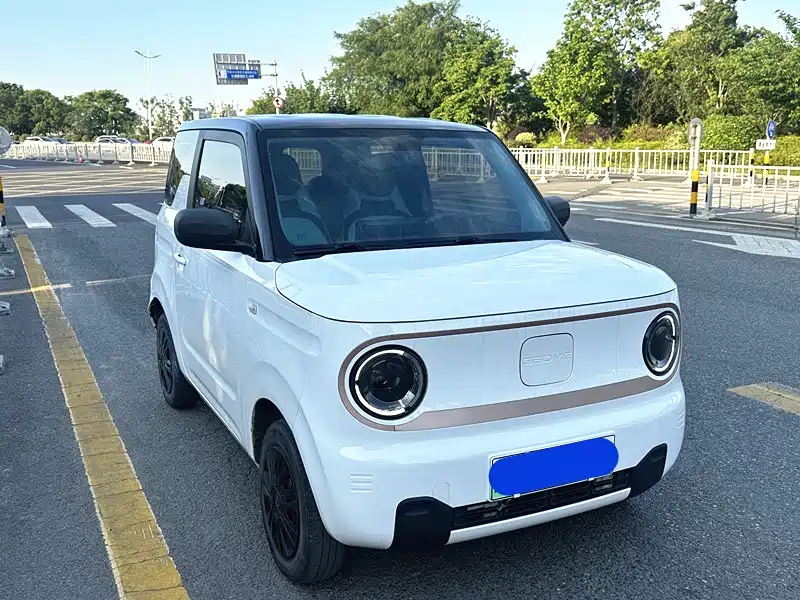 Panda 2023 Panda mini 200km endurance bear купить на сайте DeffCars