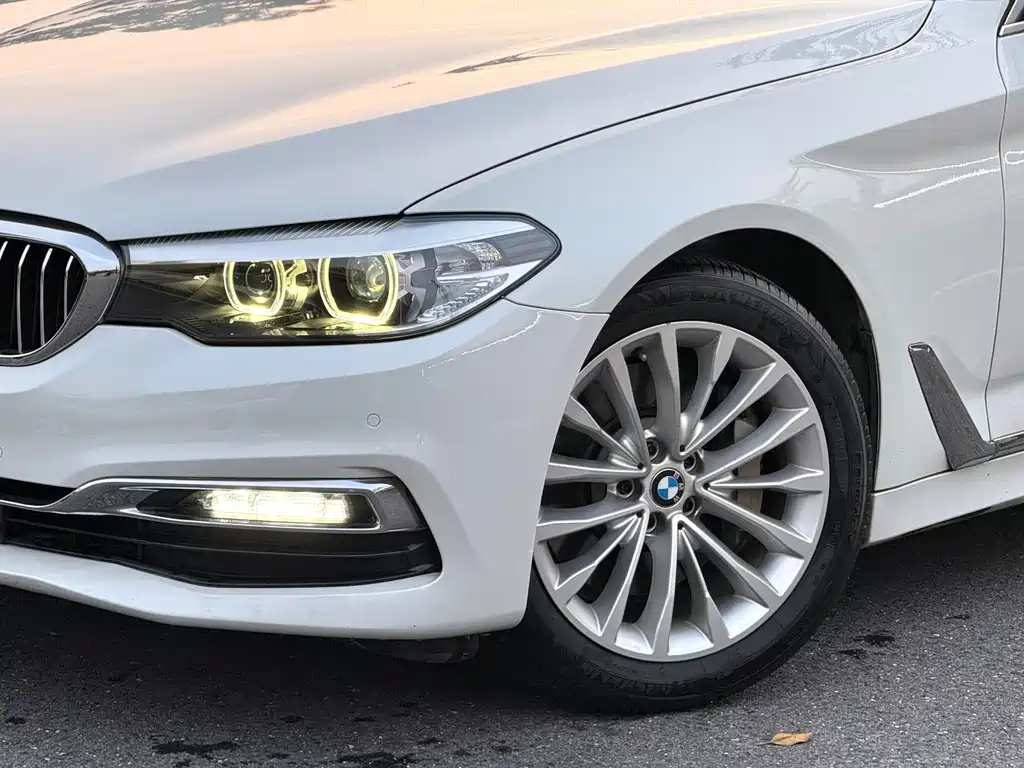 BMW 5 Series 2019 530Li Leading Luxury Package купить на сайте DeffCars