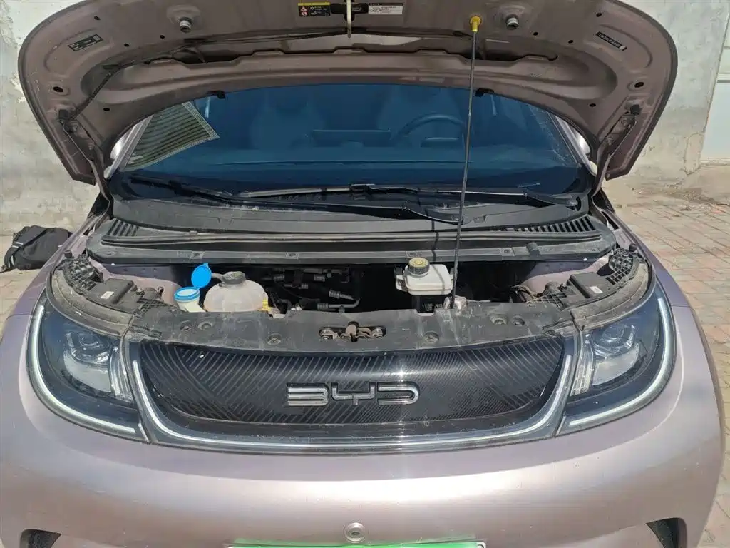 Dolphin 2023 420km Free Edition купить на сайте DeffCars