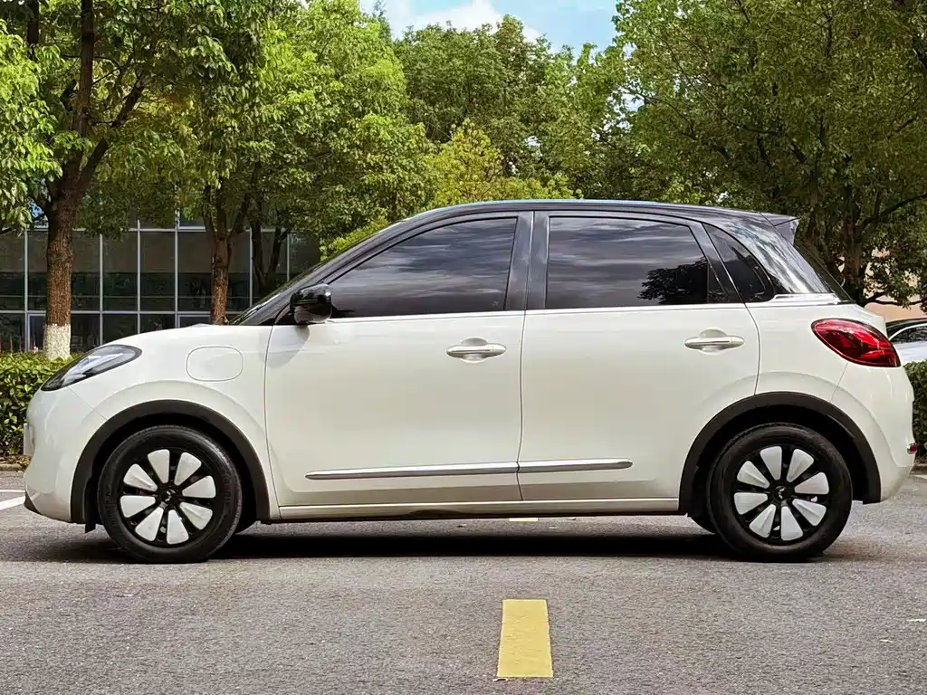 Bingo 2023 333km Delight + купить на сайте DeffCars
