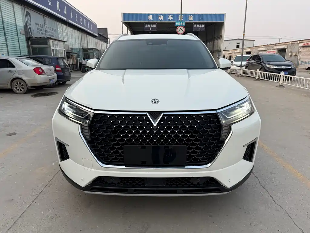 Venucia 2021 260T automatic 48V mild hybrid supercharged Xingyao version купить на сайте DeffCars
