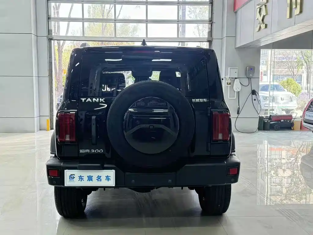 TANK 300 2021 off-road version 2.0T Challenger купить на сайте DeffCars