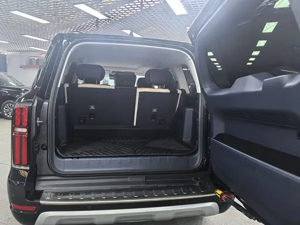 Tank 500 2022 model 3.0T sports version, environment type, 5 seats купить на сайте DeffCars