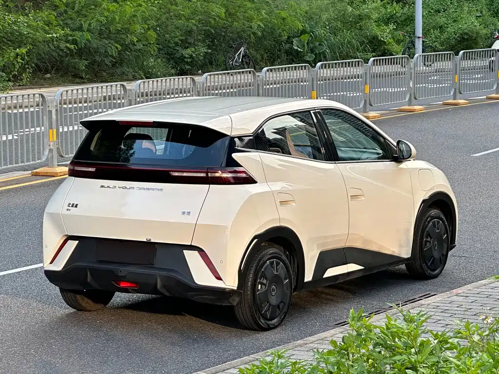 Seagull 2023 Vitality Edition купить на сайте DeffCars