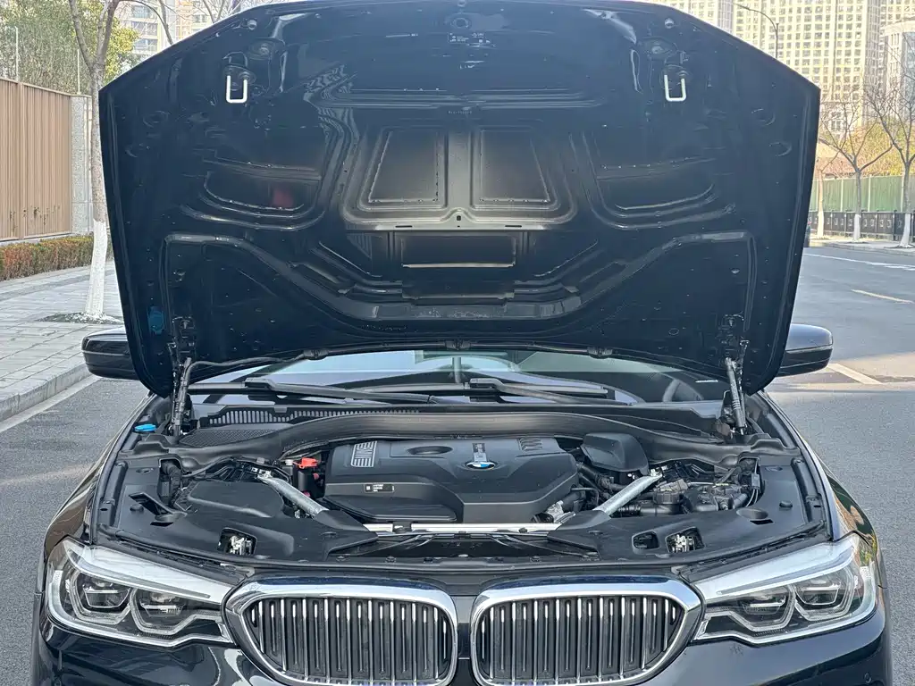 BMW 5 Series 2020 530Li Leading Luxury Package купить на сайте DeffCars