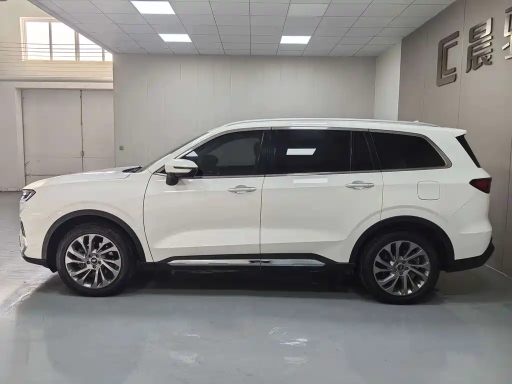 Lingyu 2021 EcoBoost 225 collar type 7 seats купить на сайте DeffCars
