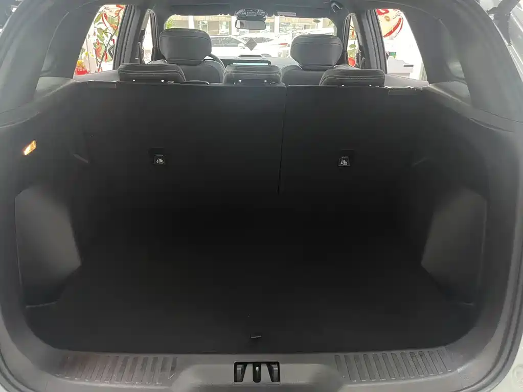 Lingrui New Energy 2025 model PLUS купить на сайте DeffCars