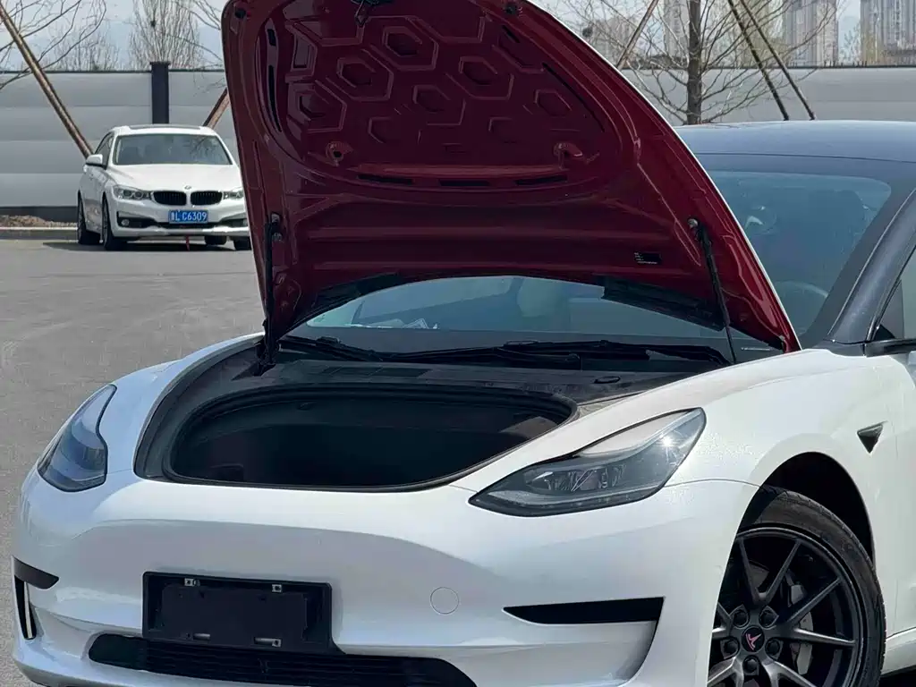 Model 3 2020 facelift standard range rear drive upgraded version купить на сайте DeffCars