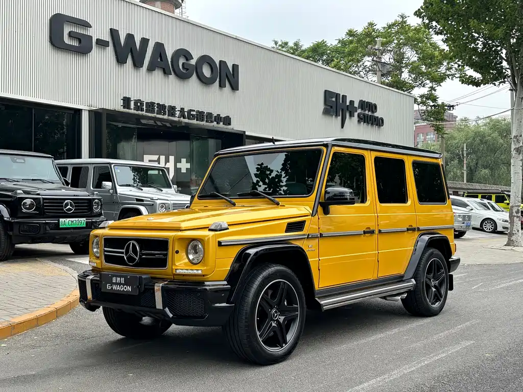 Mercedes-Benz G-Class AMG 2015 AMG G 63 Wild Limited Edition купить на сайте DeffCars