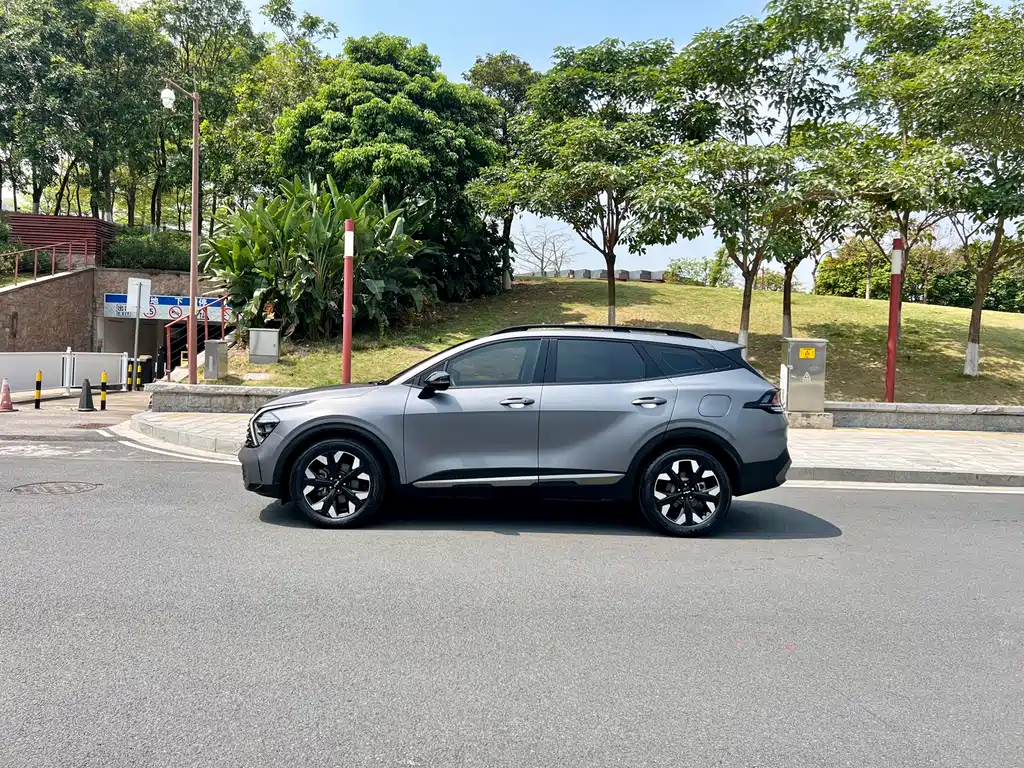 Lion Platinum expands the world 2023 2.0T two-wheel drive flagship version купить на сайте DeffCars