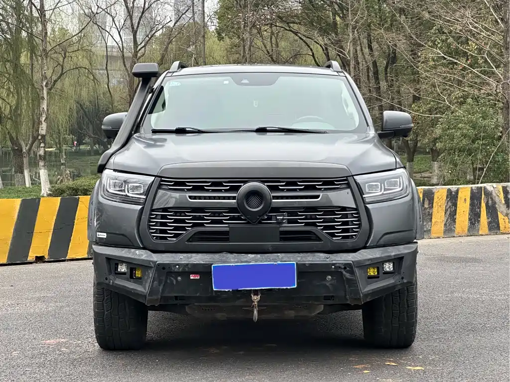 Cannon 2021 2.0T off-road version automatic diesel four-wheel drive Everest version GW4D20M купить на сайте DeffCars