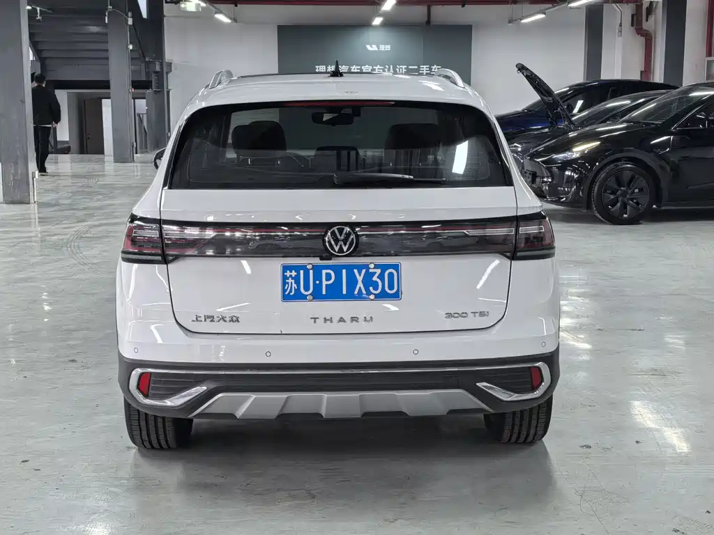 Tuyue 2024 300TSI two-wheel drive full moon version купить на сайте DeffCars