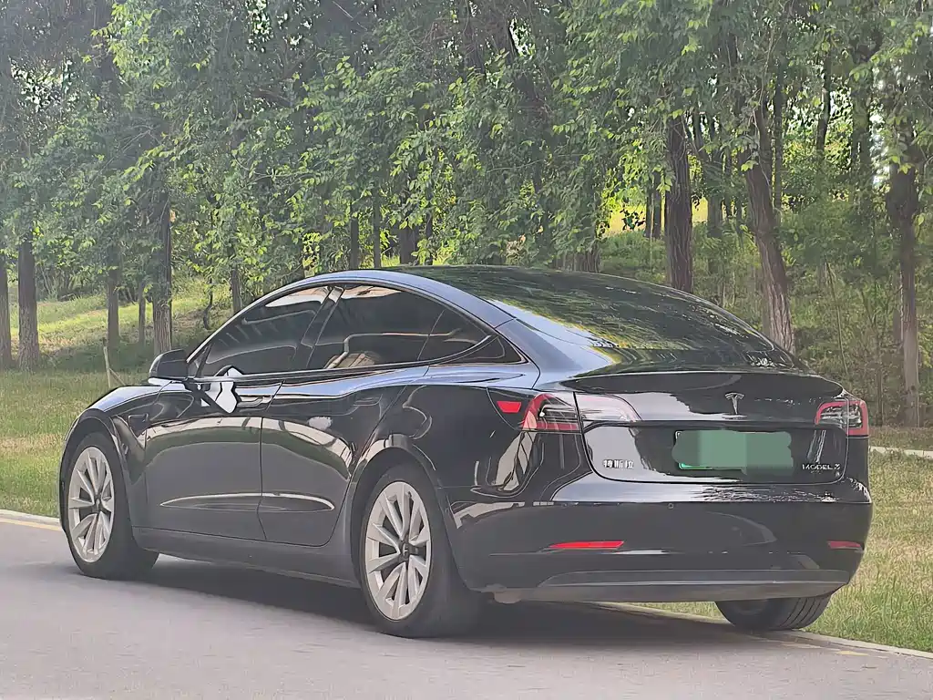 Model 3 2020 facelift standard range rear-wheel drive upgraded version купить на сайте DeffCars