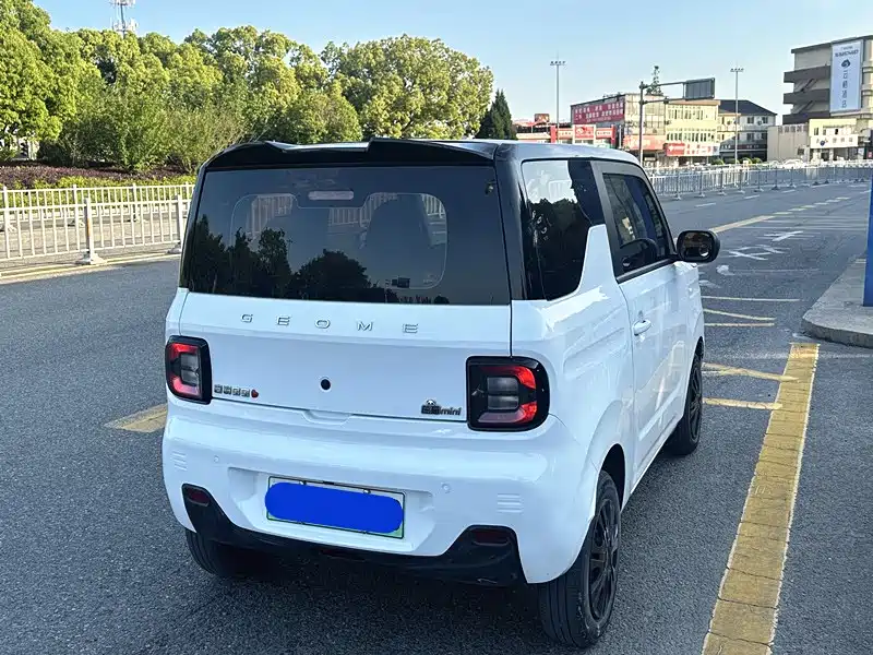 Panda 2023 Panda mini 200km endurance bear купить на сайте DeffCars