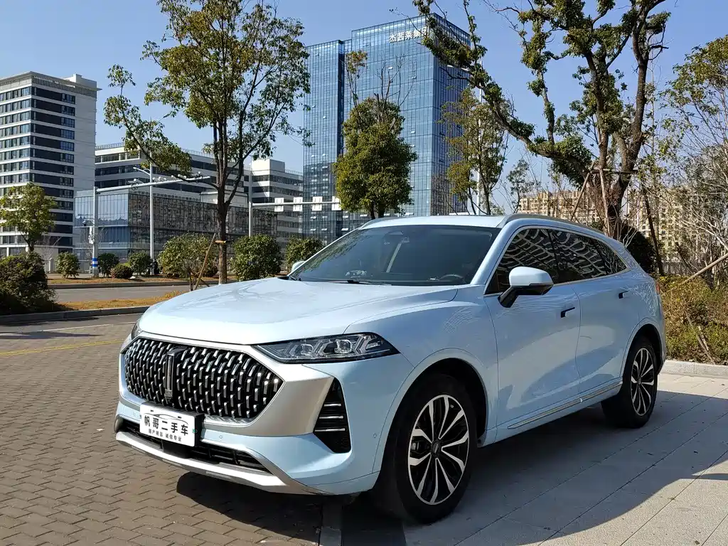 Wei brand Mocha 2021 2.0T two-wheel drive special version купить на сайте DeffCars
