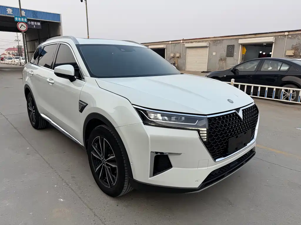 Venucia 2021 260T automatic 48V mild hybrid supercharged Xingyao version купить на сайте DeffCars