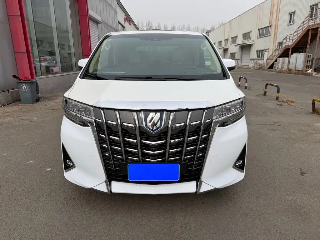 Alfa 2020 Shuangqing 2.5L Premium Edition купить на сайте DeffCars