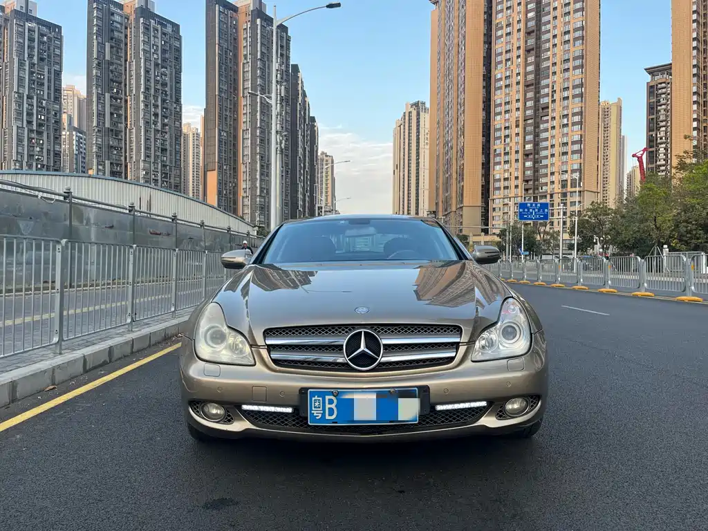 Mercedes-Benz CLS 2009 CLS 300 купить на сайте DeffCars