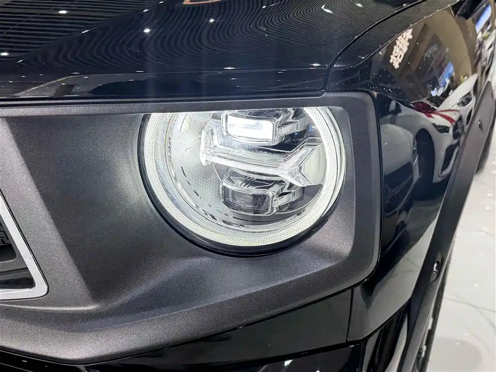 Haval Big Dog PLUS 2023 2.0T two-wheel drive trendy version Plus купить на сайте DeffCars