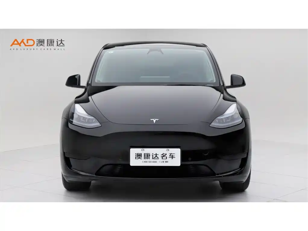 TeslaModel Y/22/modified rear-wheel drive version купить на сайте DeffCars
