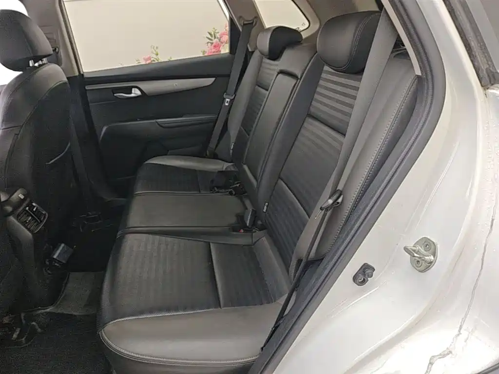 Zhipao 2019 2.0L Automatic Smart Enjoy Deluxe Edition купить на сайте DeffCars