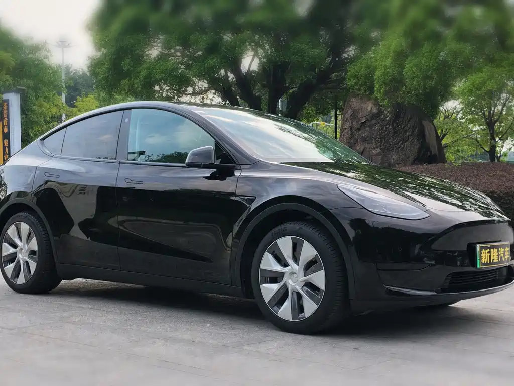 Model Y 2023 rear-wheel drive version купить на сайте DeffCars